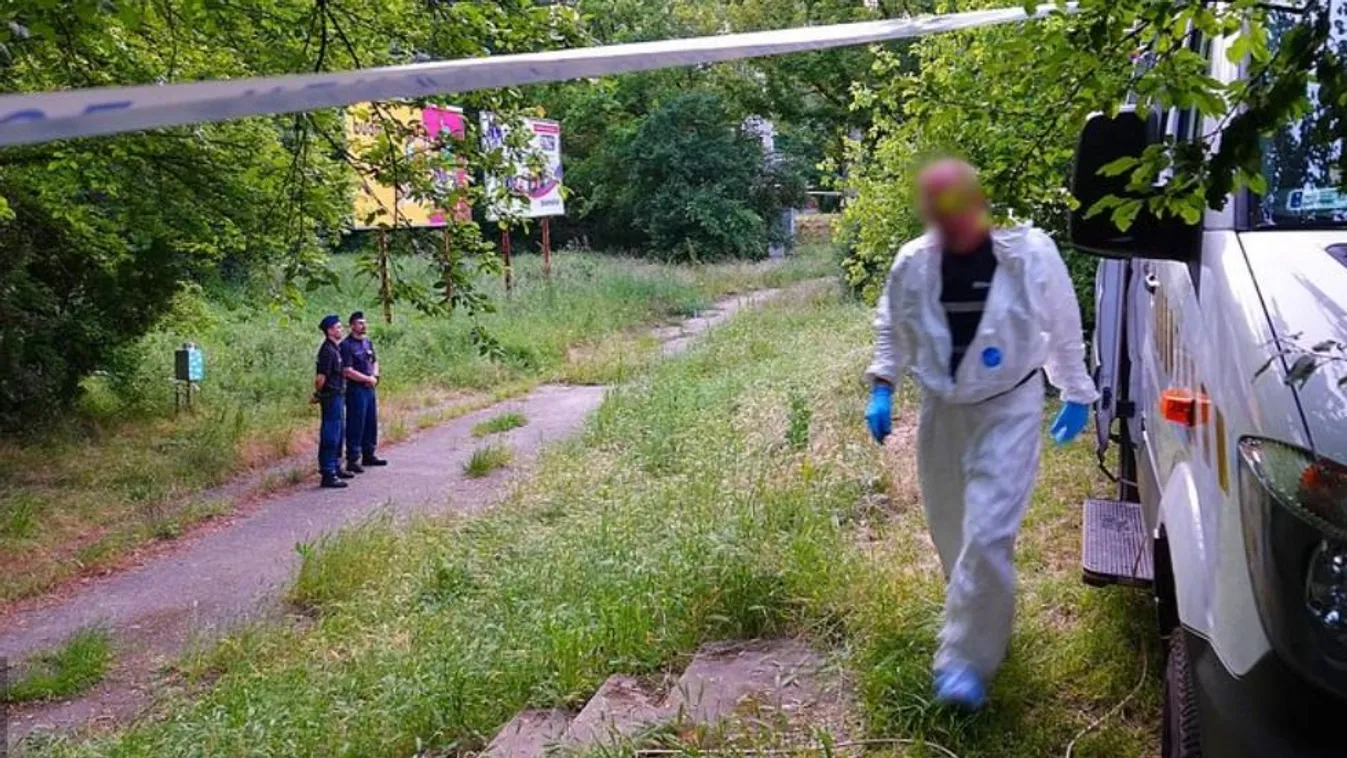 Összefogtak a helyiek a meggyilkolt Krisztián kutyusáért