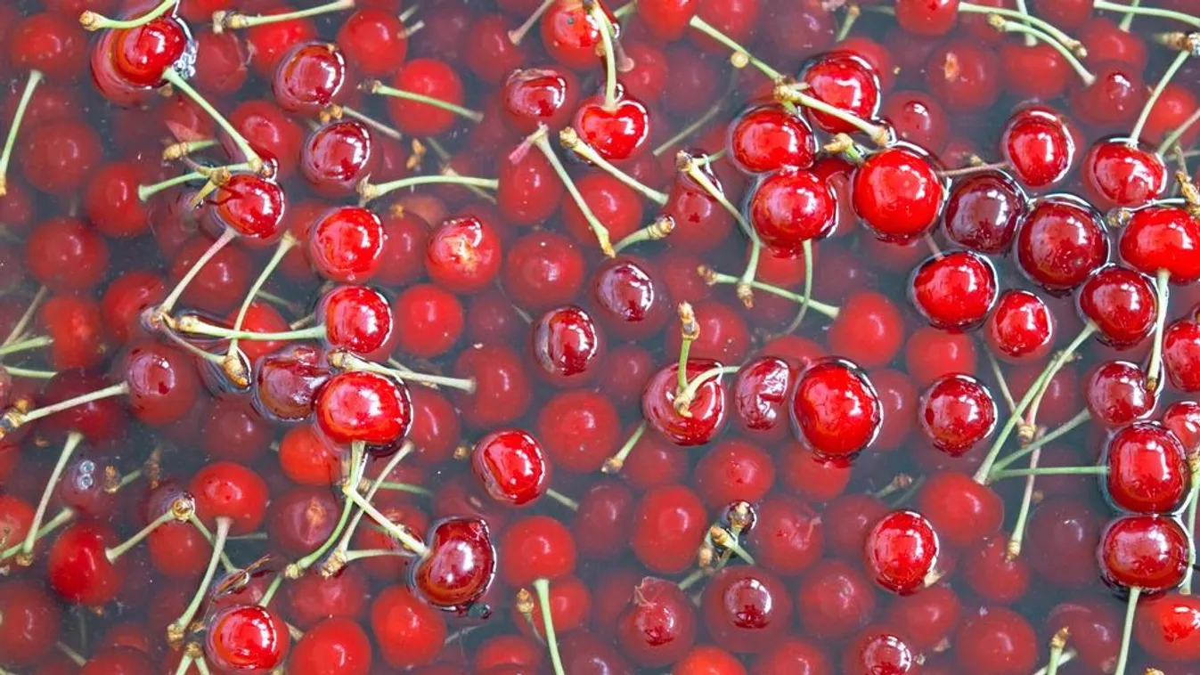 Nagyanyáink ősi trükkje: Ezt csináld, ha kukacos lett a cseresznye