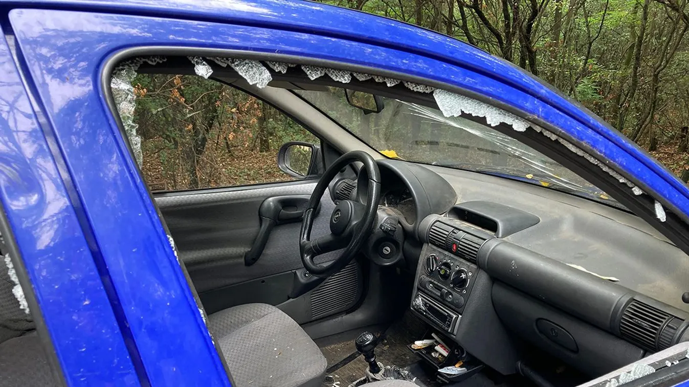 Itt az Erdőkertesen meghalt lány síron túli üzenete