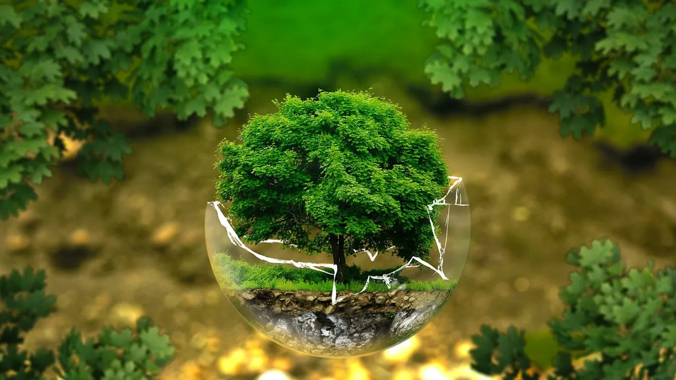 Ezekkel a tippekkel meghosszabbíthatjuk a Föld életét