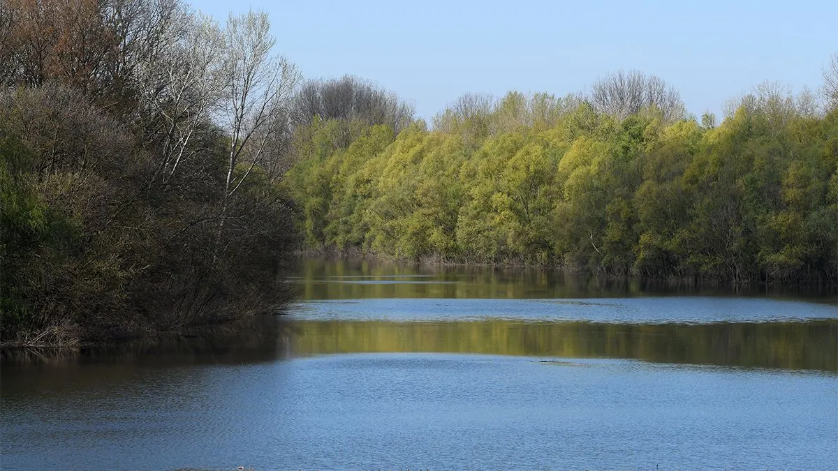 tisza folyo