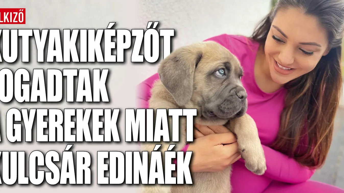 Kutyakiképzőt fogadtak a gyerekek miatt Kulcsár Edináék