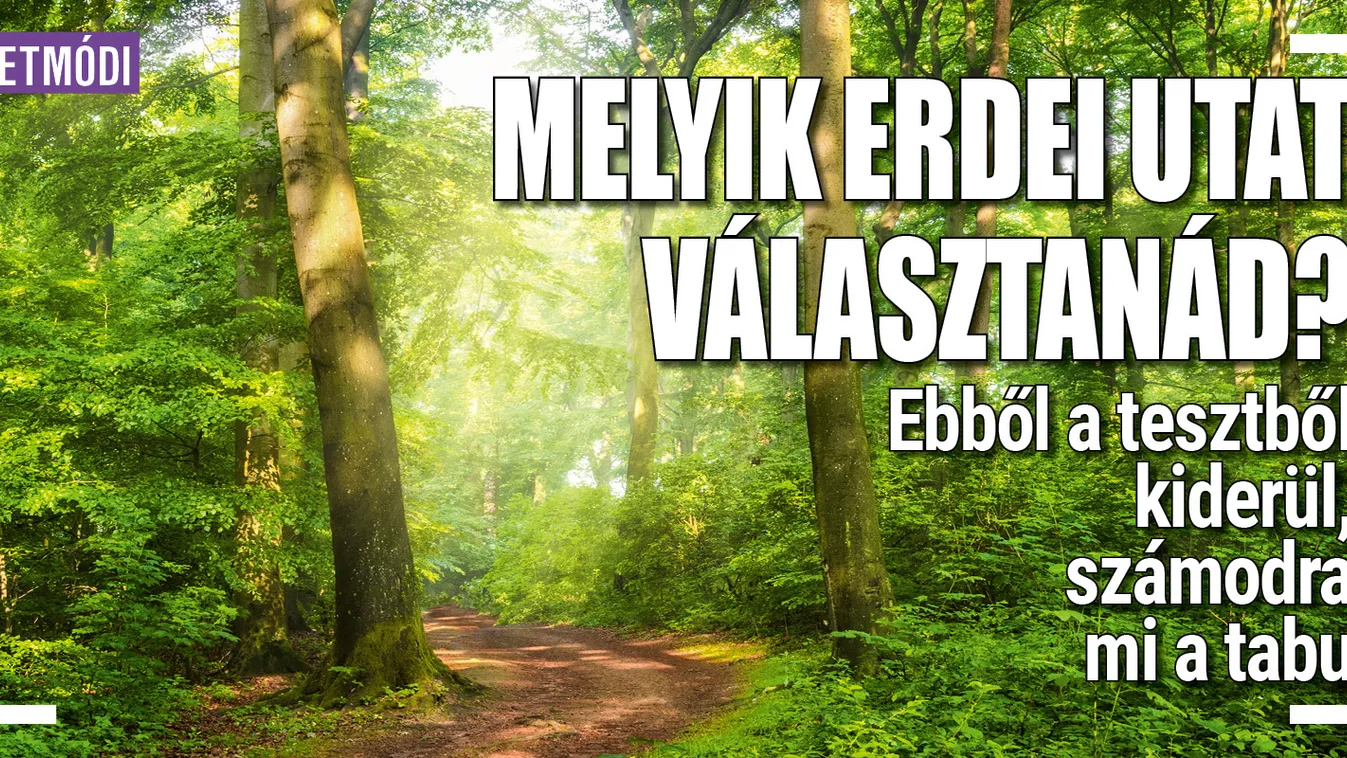 Melyik erdei utat választanád?  Kiderül számodra, mi a tabu