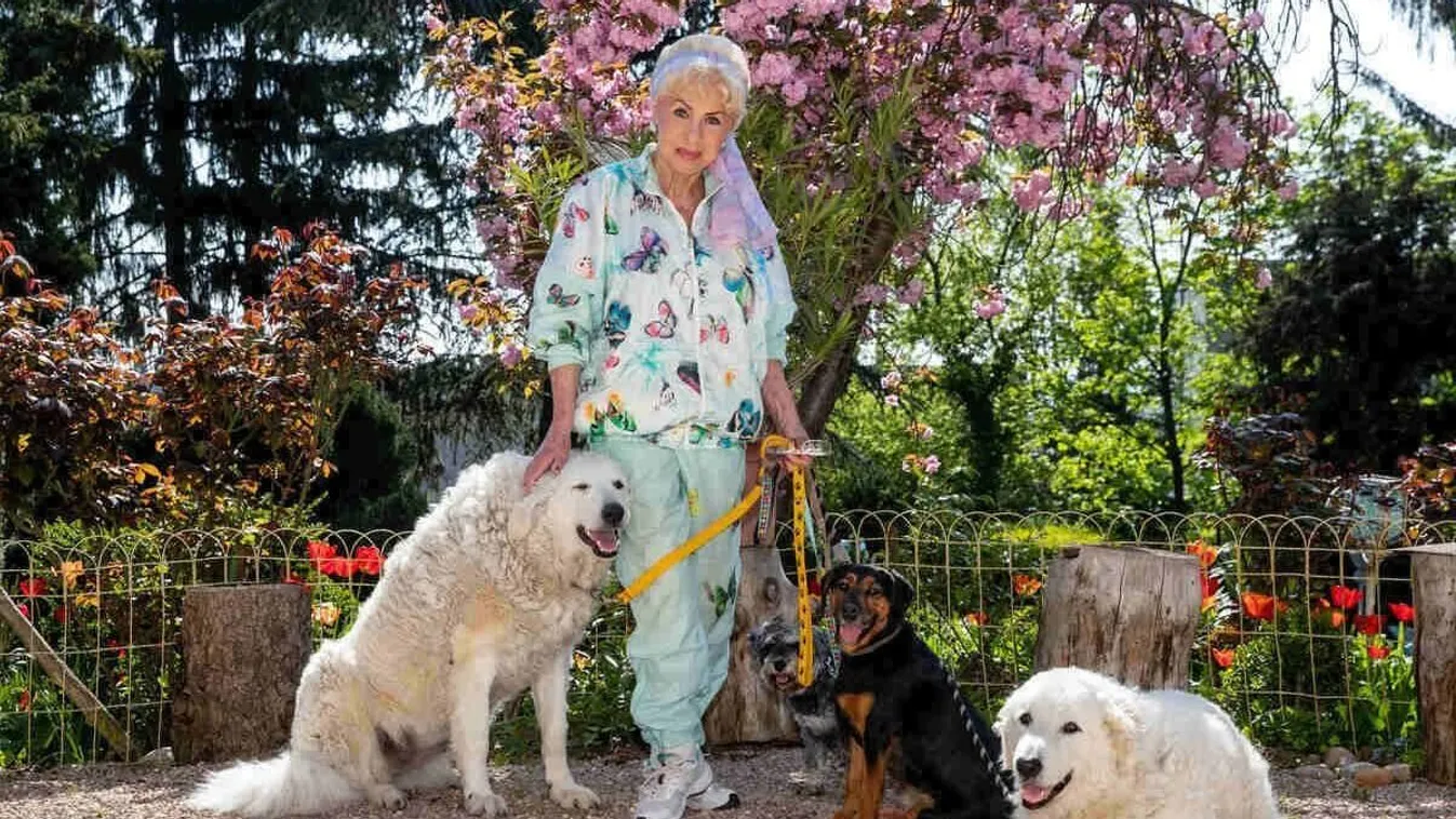 Csúcsformában fotózták le Medveczky Ilonát, csak úgy ragyog