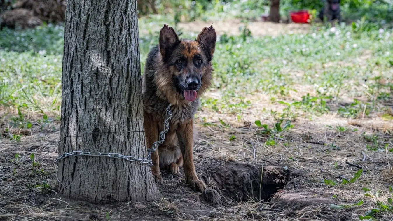 Szakított párjával a tömörkényi gyerekhalál áldozatának apja