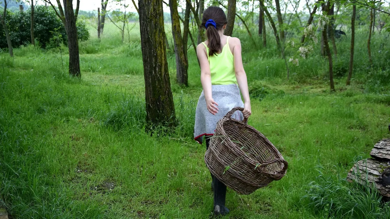 Felrobbant az internet ettől a különleges bizonyítványtól