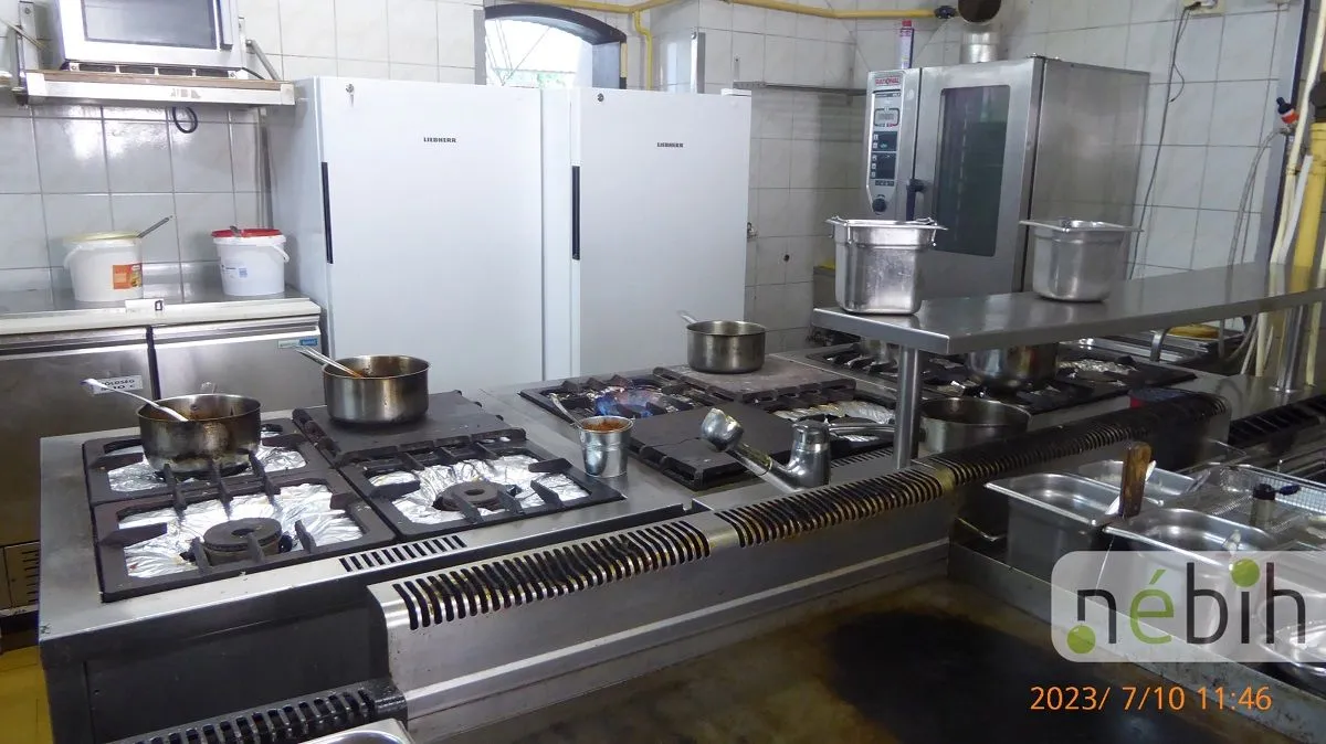 balatoni vendéglátóhelyek ellenőrzése 