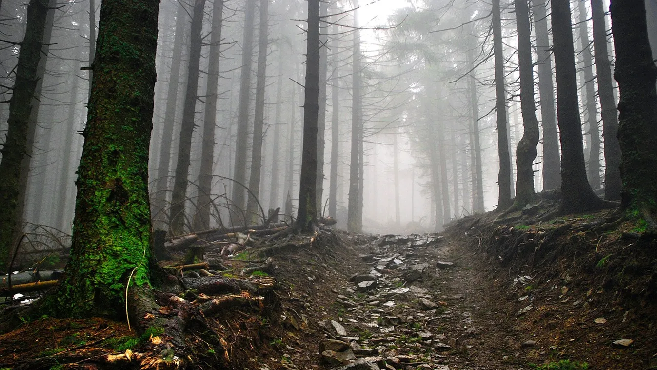 Három holttestet találták a coloradói kempingben