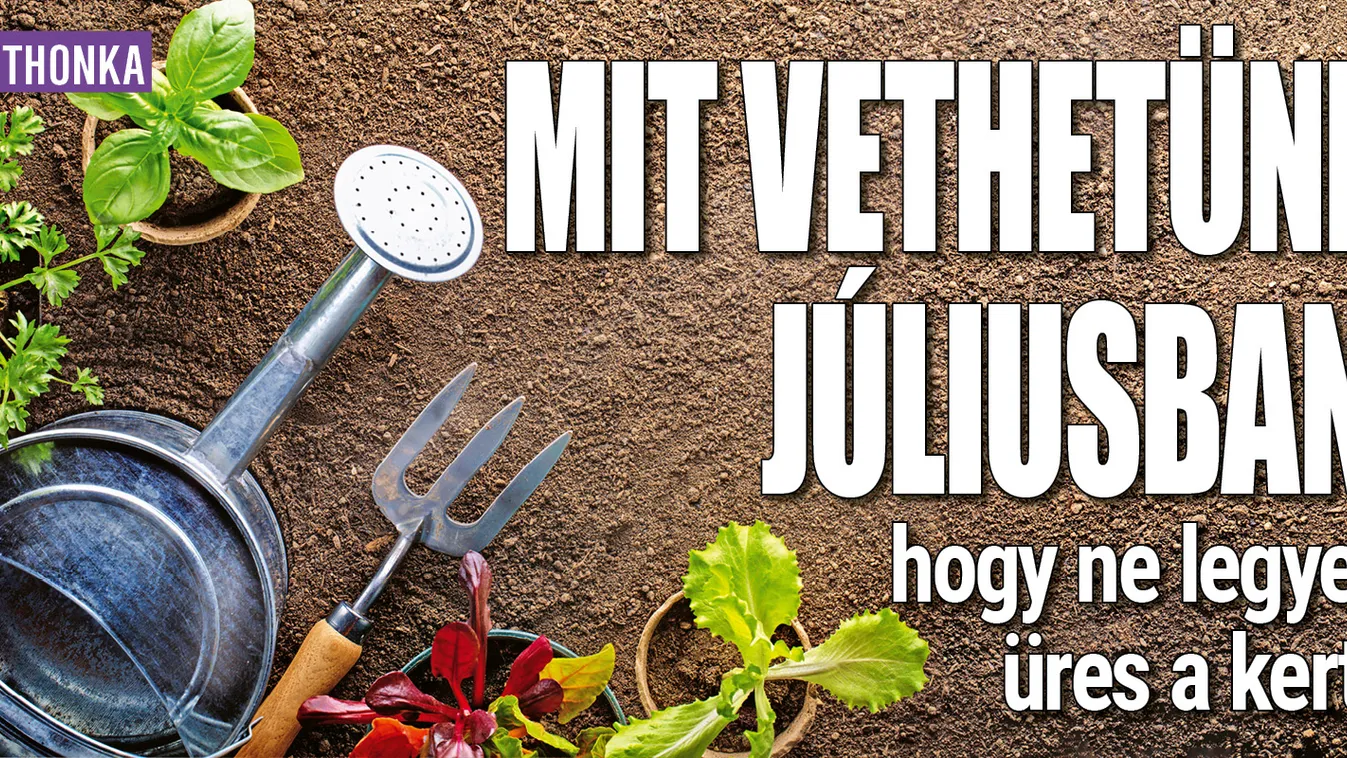 Mit vethetünk júliusban, hogy ne legyen üres a kert?