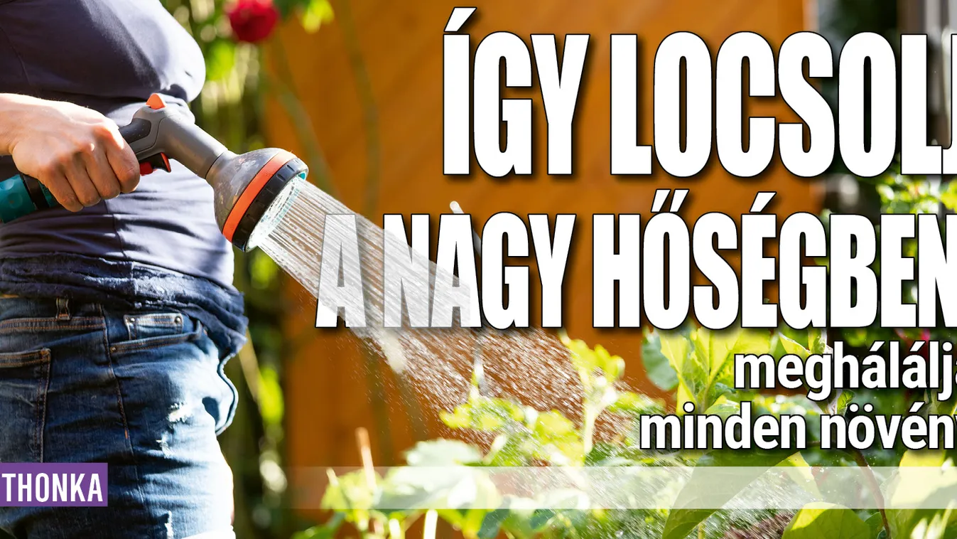 Így locsolj a nagy hőségben, meghálálja minden növény