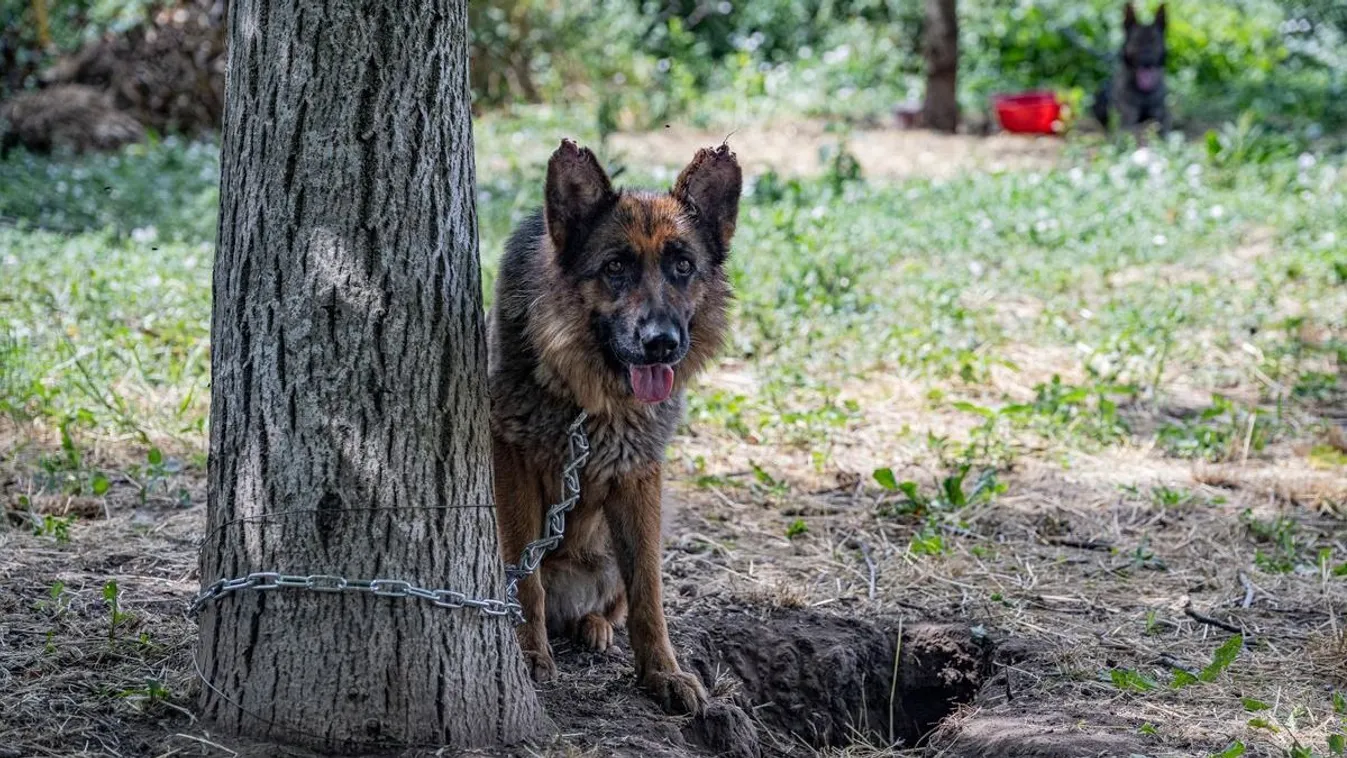 Féltik az ismerősök a gyászoló tömörkényi apát