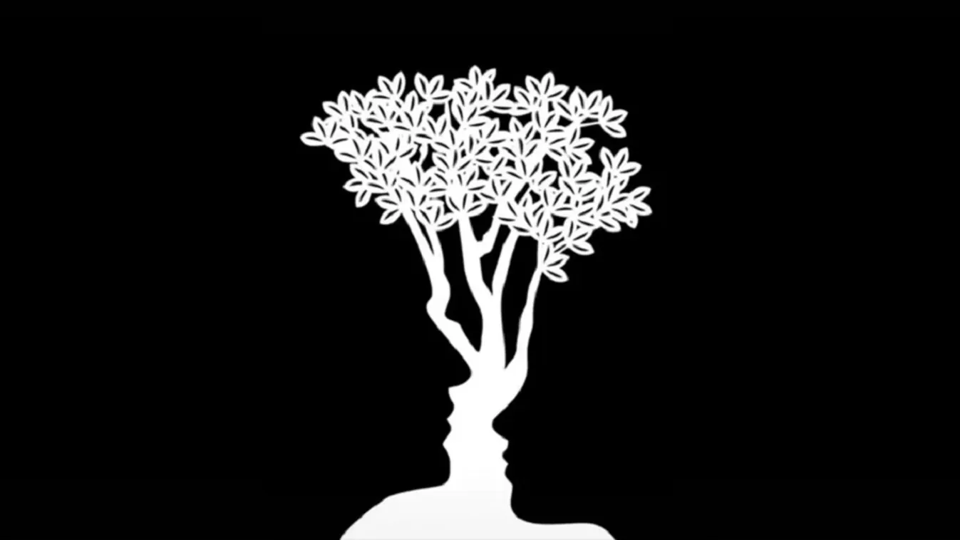 Mit látsz meg először? Fontos dolgot árul el rólad!