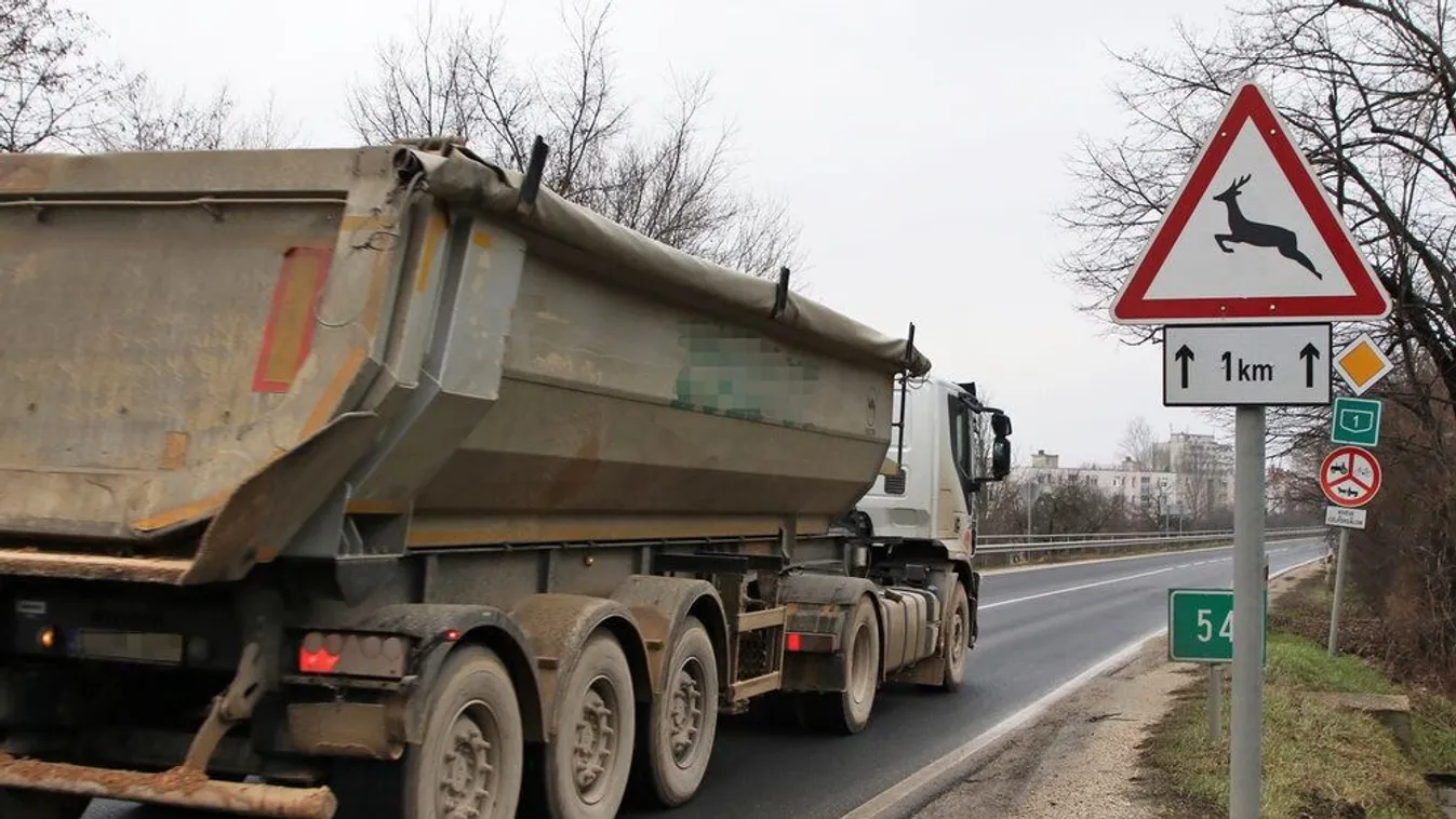 Elkezdődött az őzek üzekedési időszaka, erre figyelj az úton