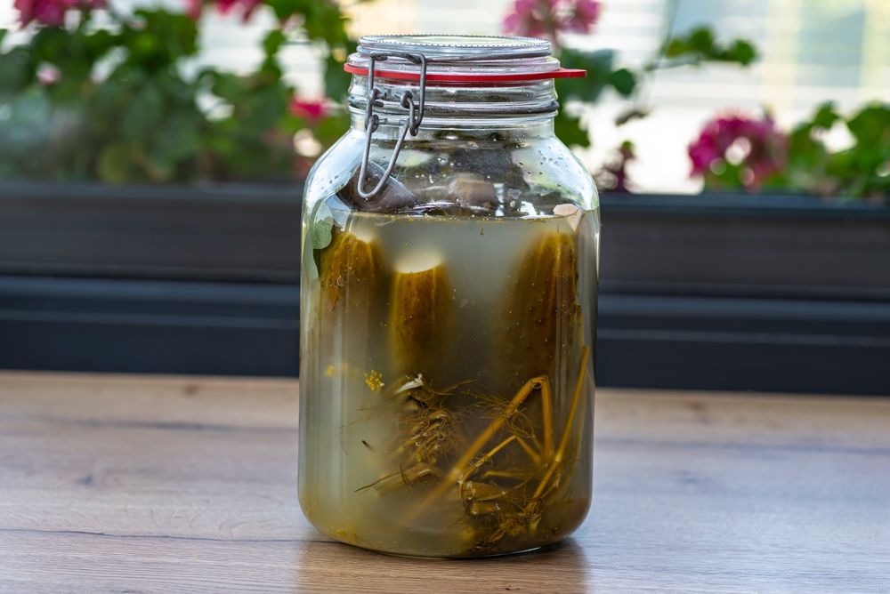 Pickled,Cucumbers,With,Horseradish,And,Garlic,In,A,Large,Glass