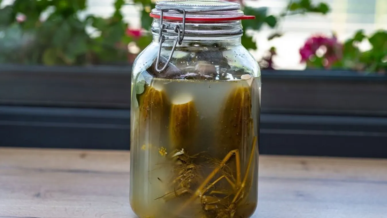 Egész télen lehet kovászos uborkád ezzel a módszerrel