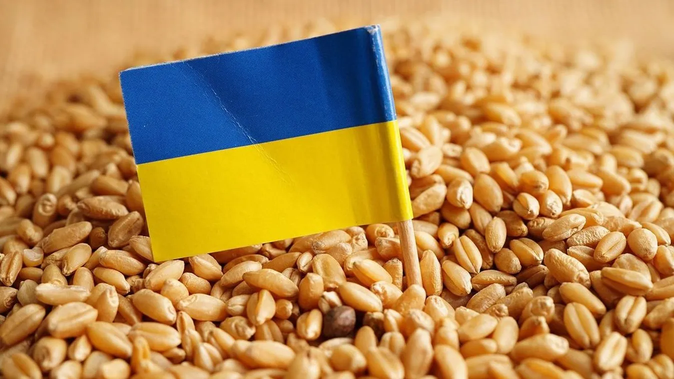 Durván egymásnak esett Kijev és Varsó az ukrán gabona miatt