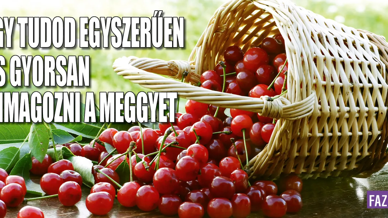 Így tudod egyszerűen és gyorsan kimagozni a meggyet