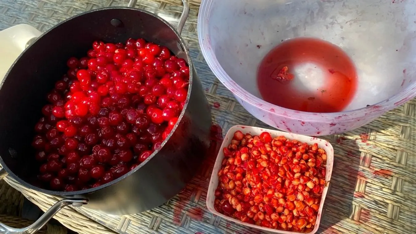 Így tudod egyszerűen és gyorsan kimagozni a meggyet