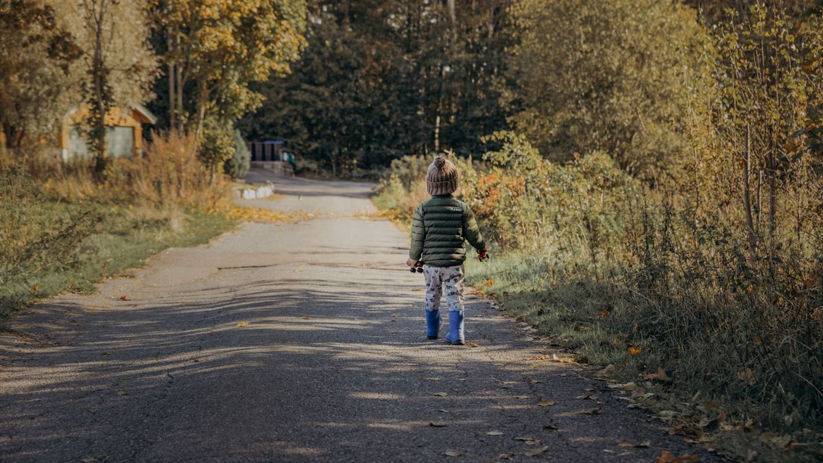 „Mindig a pillangókat kergette” – Új információk az eltűnt kétéves kisfiúról