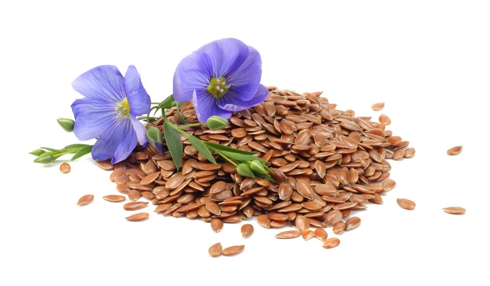 Flax,Seeds,With,Flower,Isolated,On,White,Background.,Flaxseed,Or