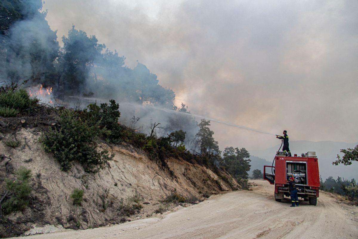 Wildfires At Dadia National Park In Greece