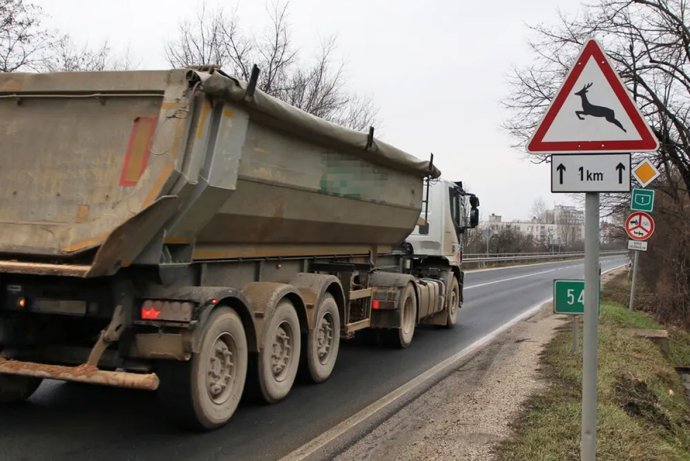 vadveszély, őz, szarvas