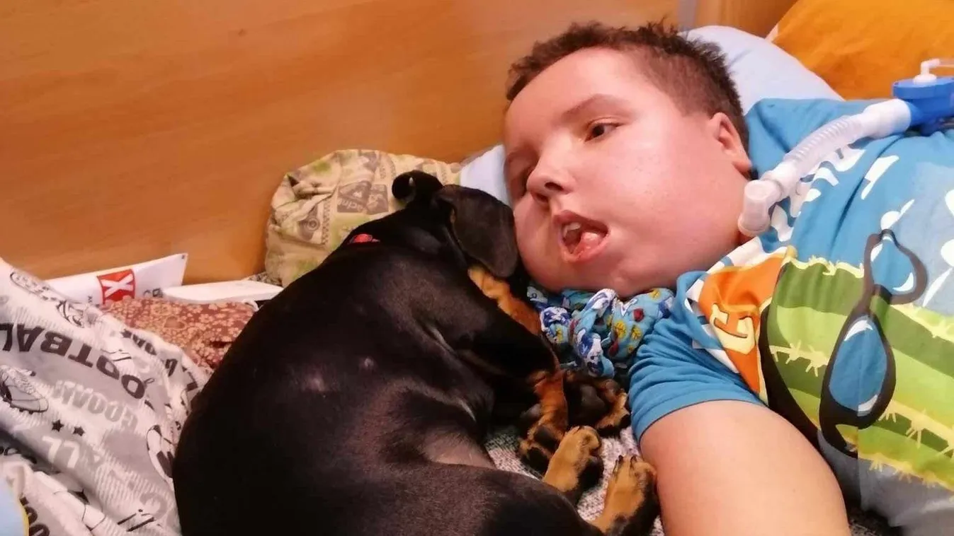 SMA-s Zsoltika legjobb barátja Füge a tacskó