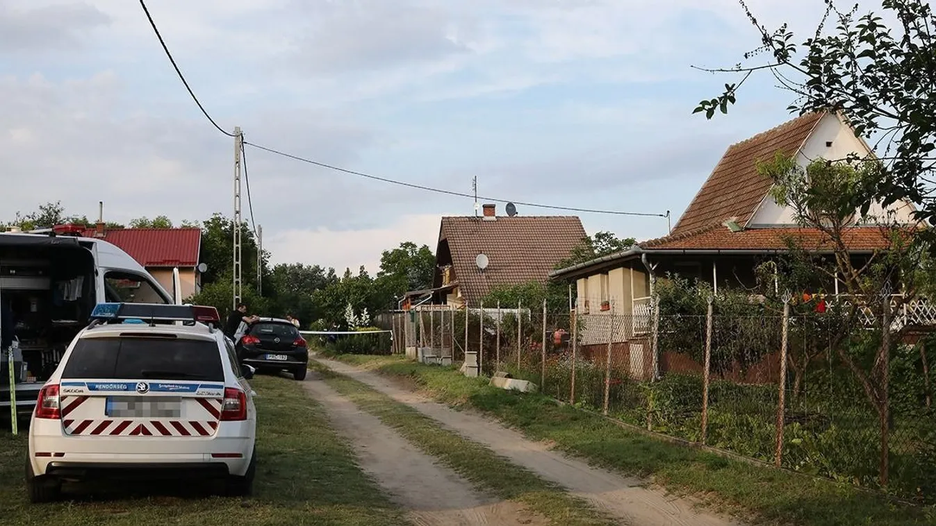 Őrizetbe vették az albertirsai családirtót