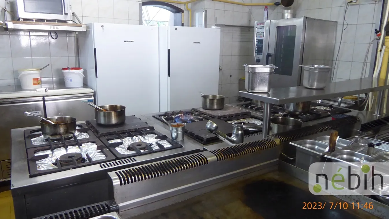 Két tonna lejárt alapanyagot találtak a balatoni étteremnél