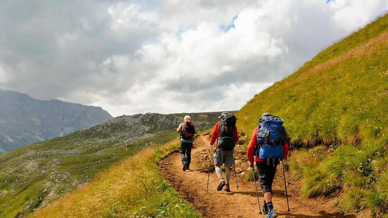 Túrázók hallották meg a júniusban eltűnt nő segélykiáltását