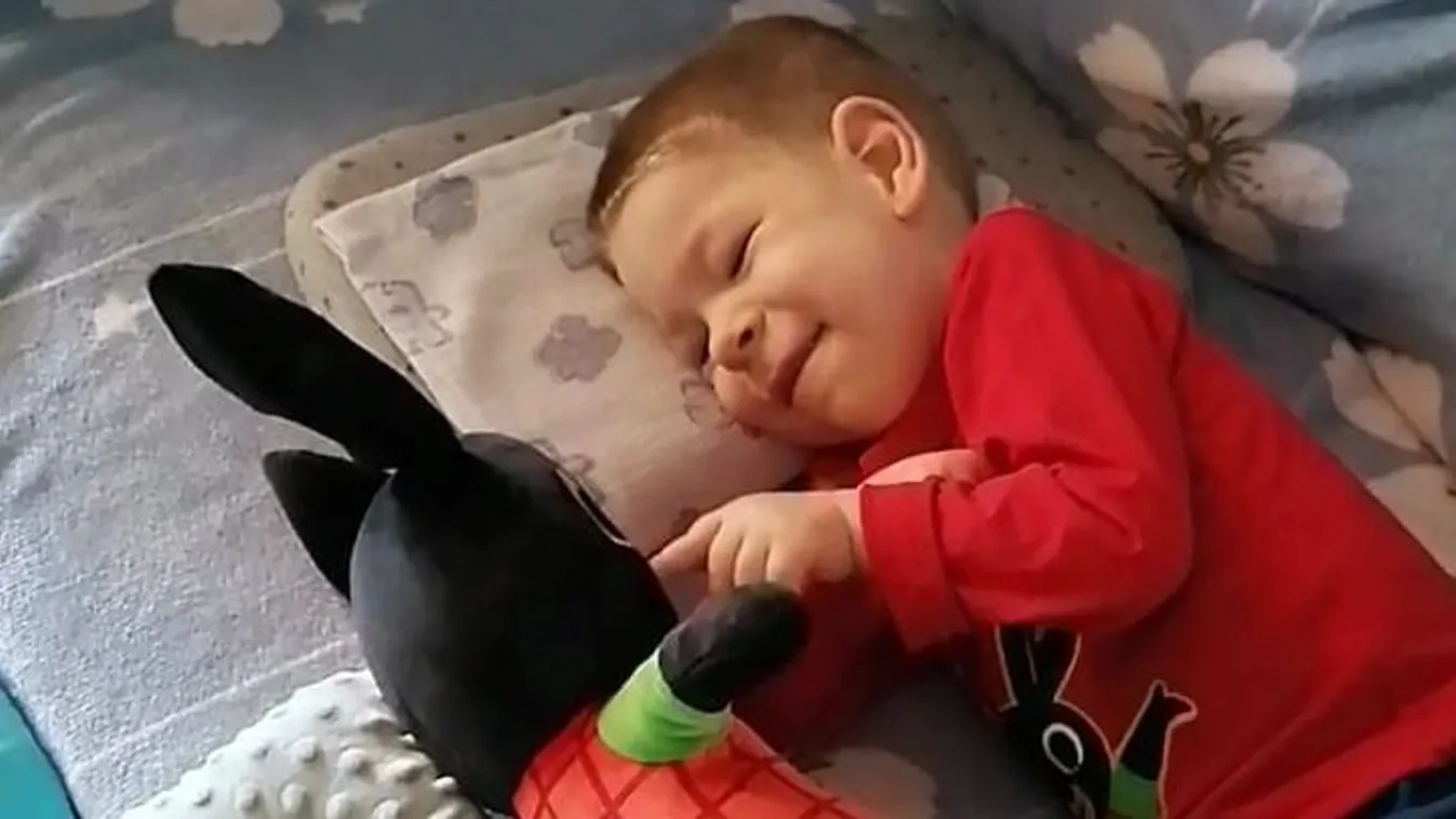 Az SMA-s Zsombi megtette az első lépéseit - videó