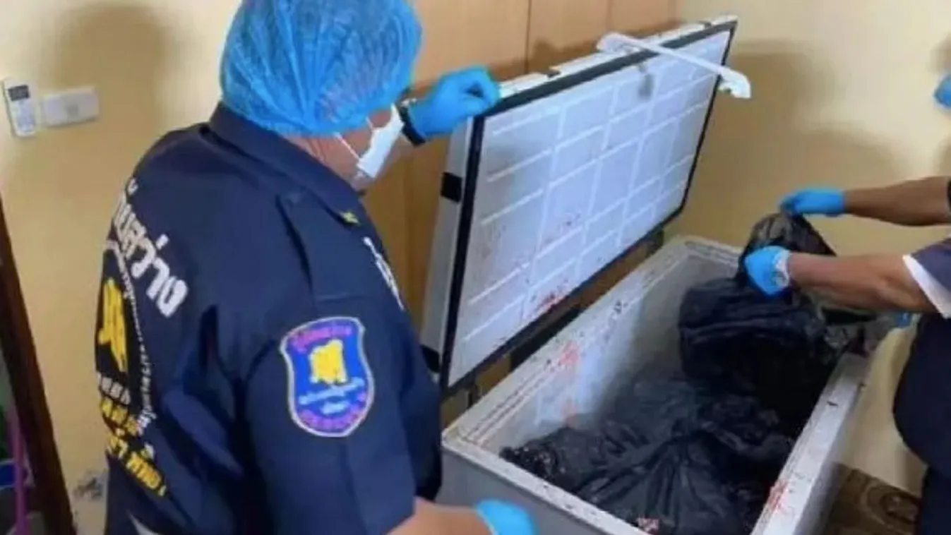 Fűrésszel darabolták fel az ingatlancézár holttestét - Videó