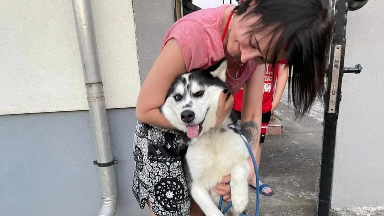 Egy év után tért haza családjához Maya, az elrabolt kutya