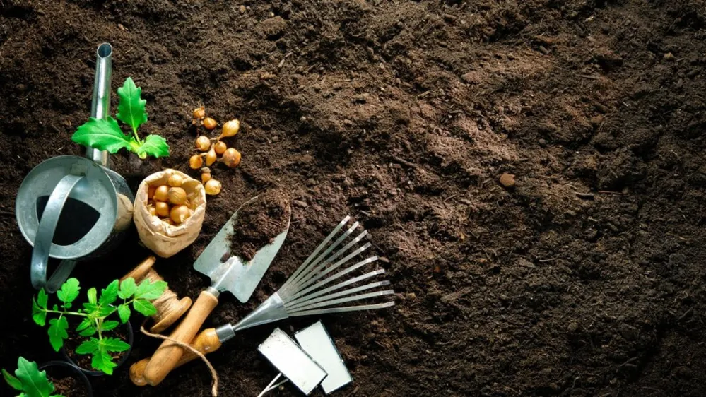 Gardening,Tools,And,Seedlings,On,Soil.,Spring,In,The,Garden