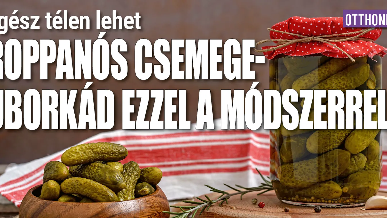 Egész télen lehet csemegeuborkád ezzel a módszerrel