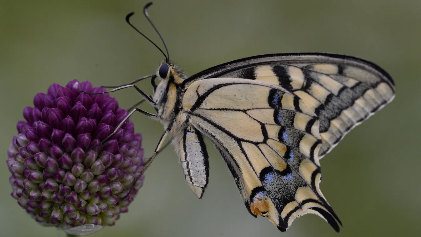 Változékony idő vár ránk július első hetében