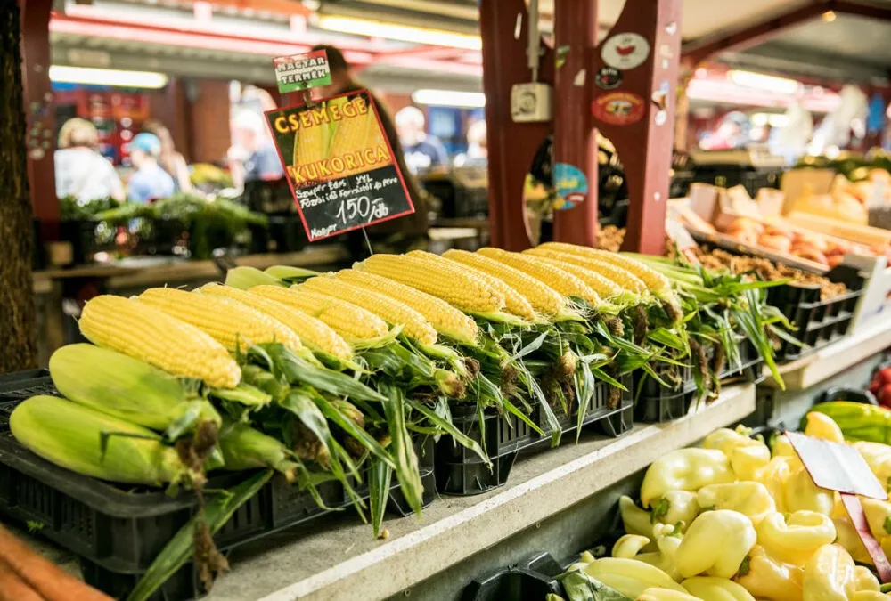 kukorica, csemegekukorica, tengeri, piac