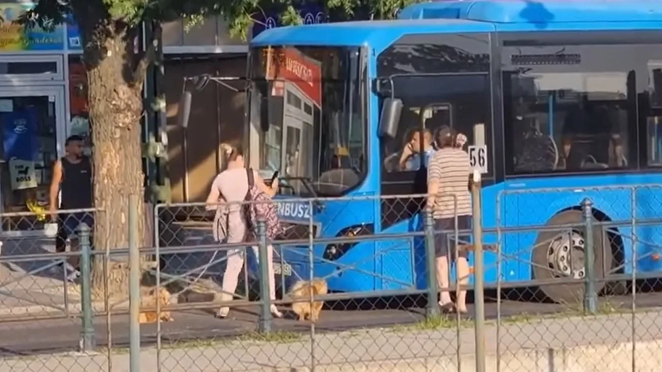 Ököllel támadt a buszvezetőre egy férfi Csepelen