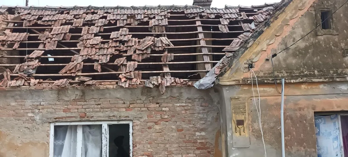 ház, vihar, tető, fák