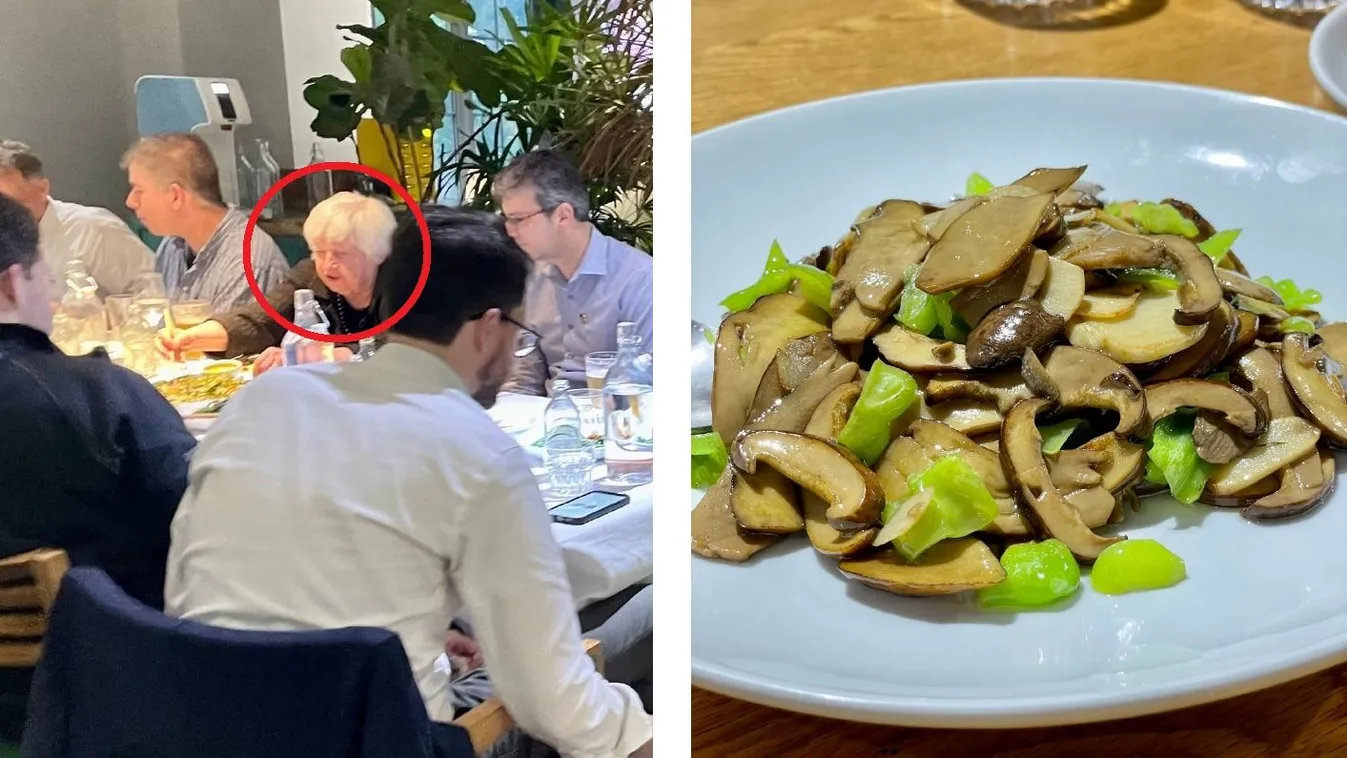 Hallucinogén gombát evett az amerikai pénzügyminiszter