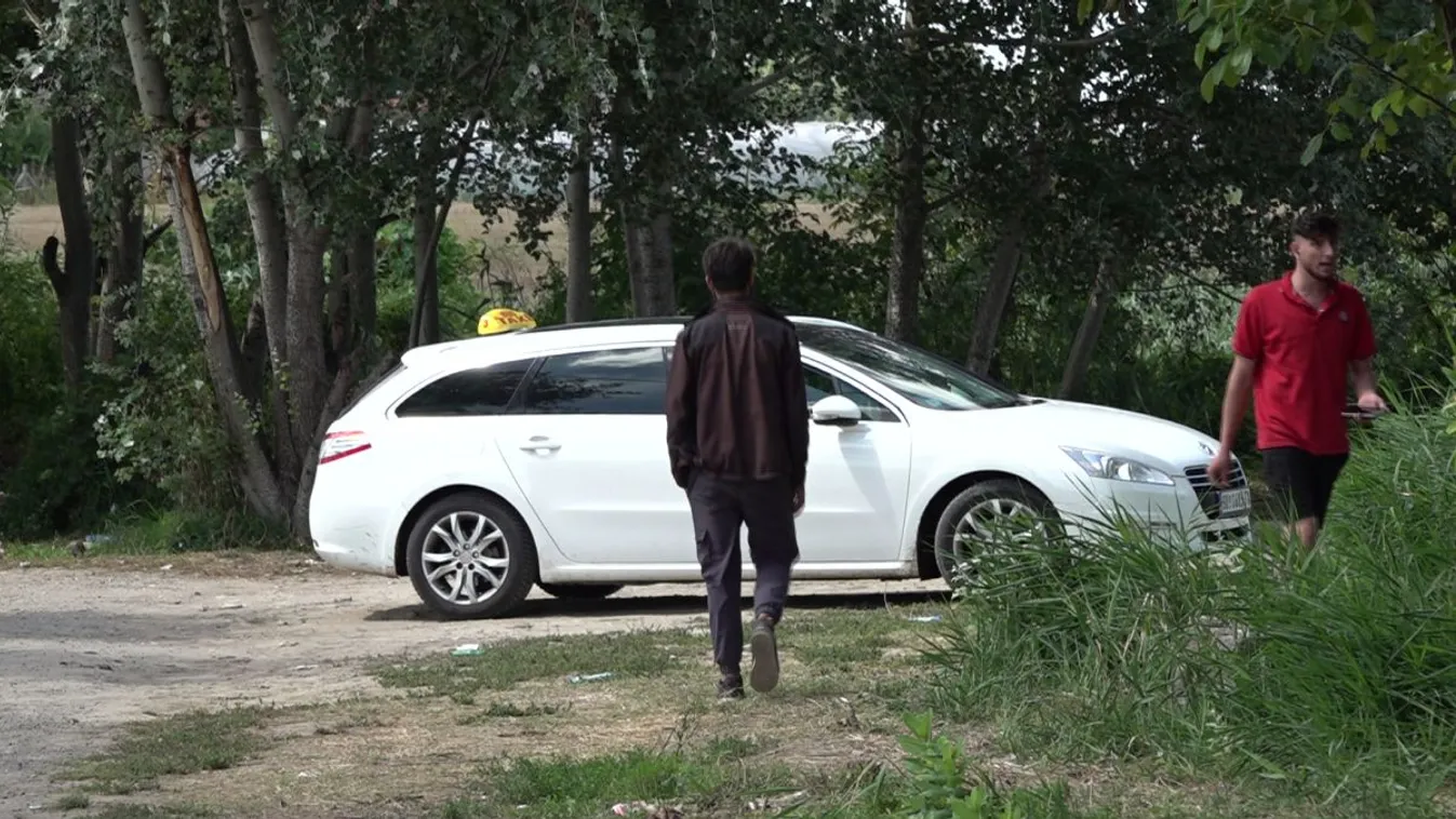 "A pénzhajhász sofőröket is szabályozni kéne" - Taxisok hordják a migránsokat a határhoz - Videó