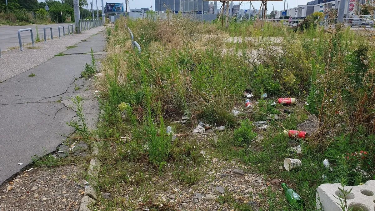 gyom, gaz, fotópályázat