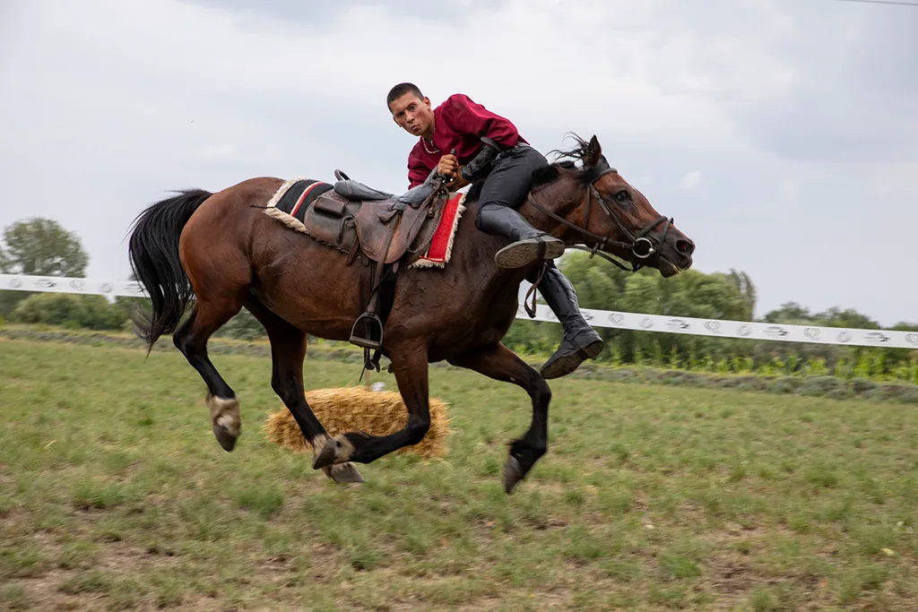 Az erdélyi Farkaslakai lovas kaszkadőrök bemutatója