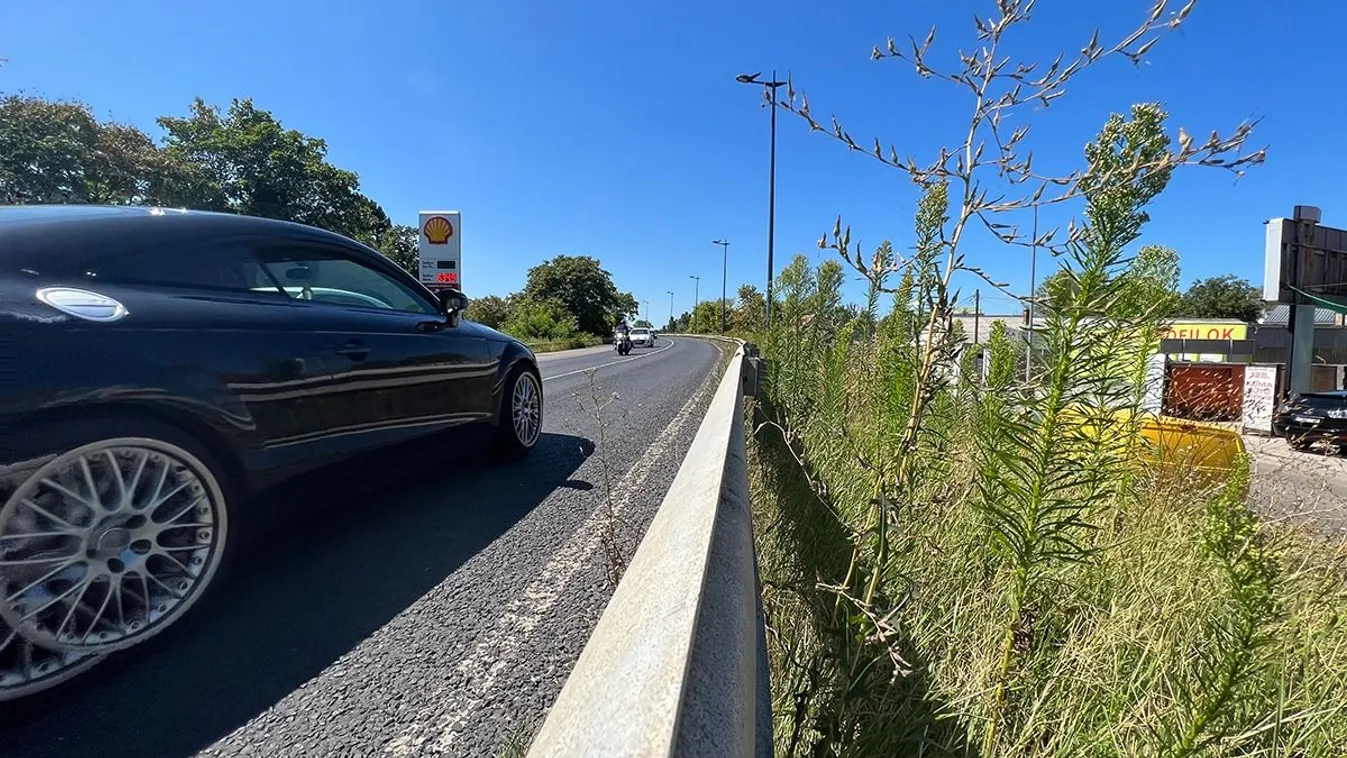  Íme, a budapestiek véleménye a gyomos fővárosról