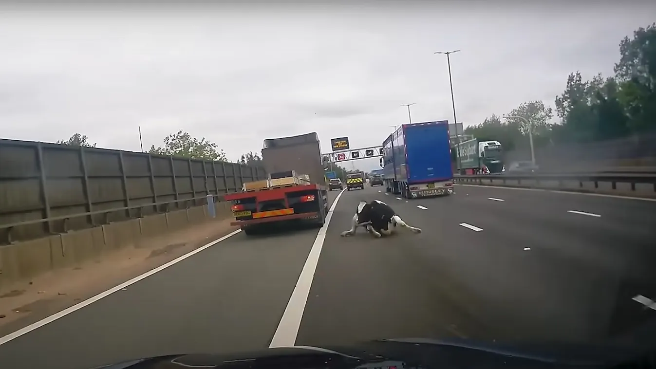 Döbbenetes jelenetek az M6-os autópályán - Videó