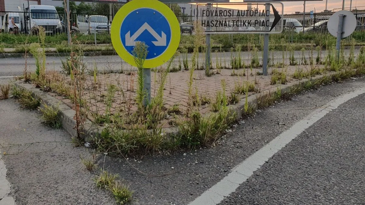 gyom, gaz, fotópályázat,