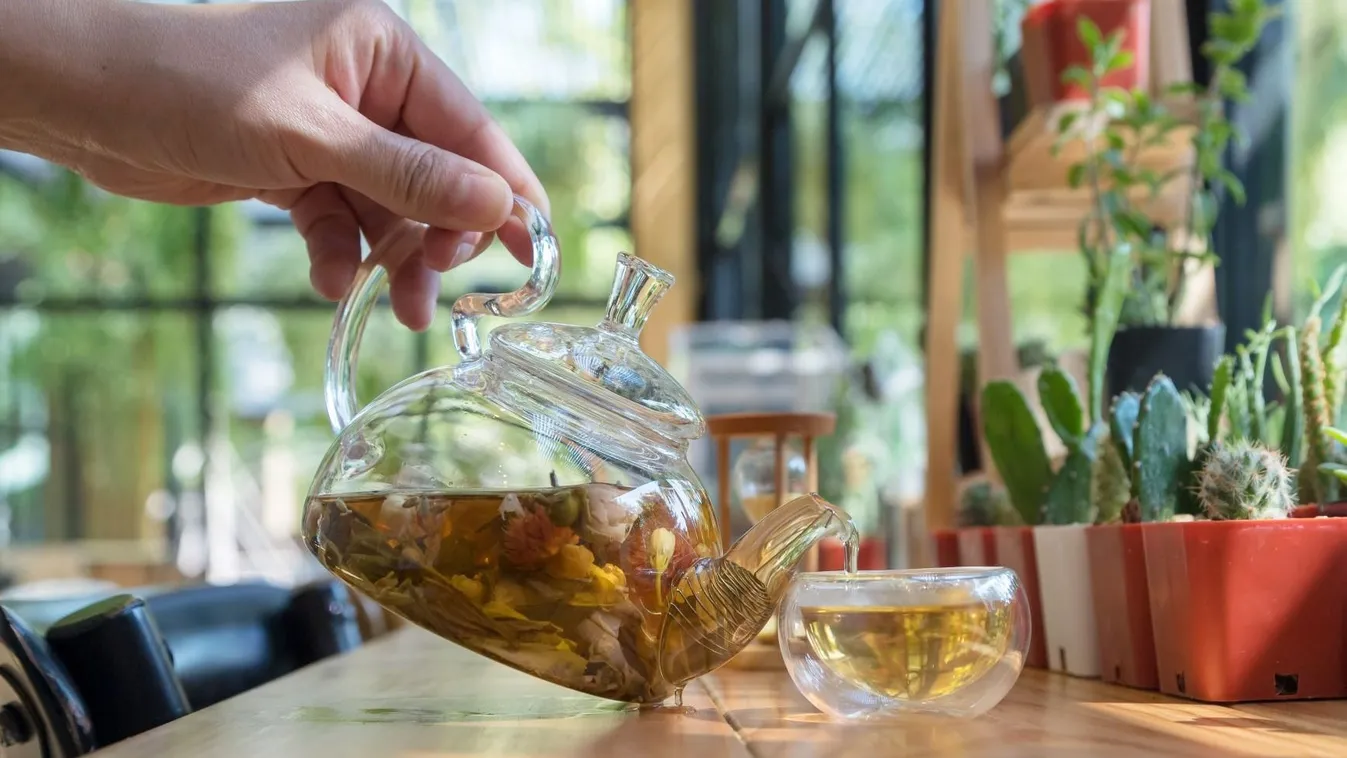 3 gyógynövény, amely lassítja az öregedést