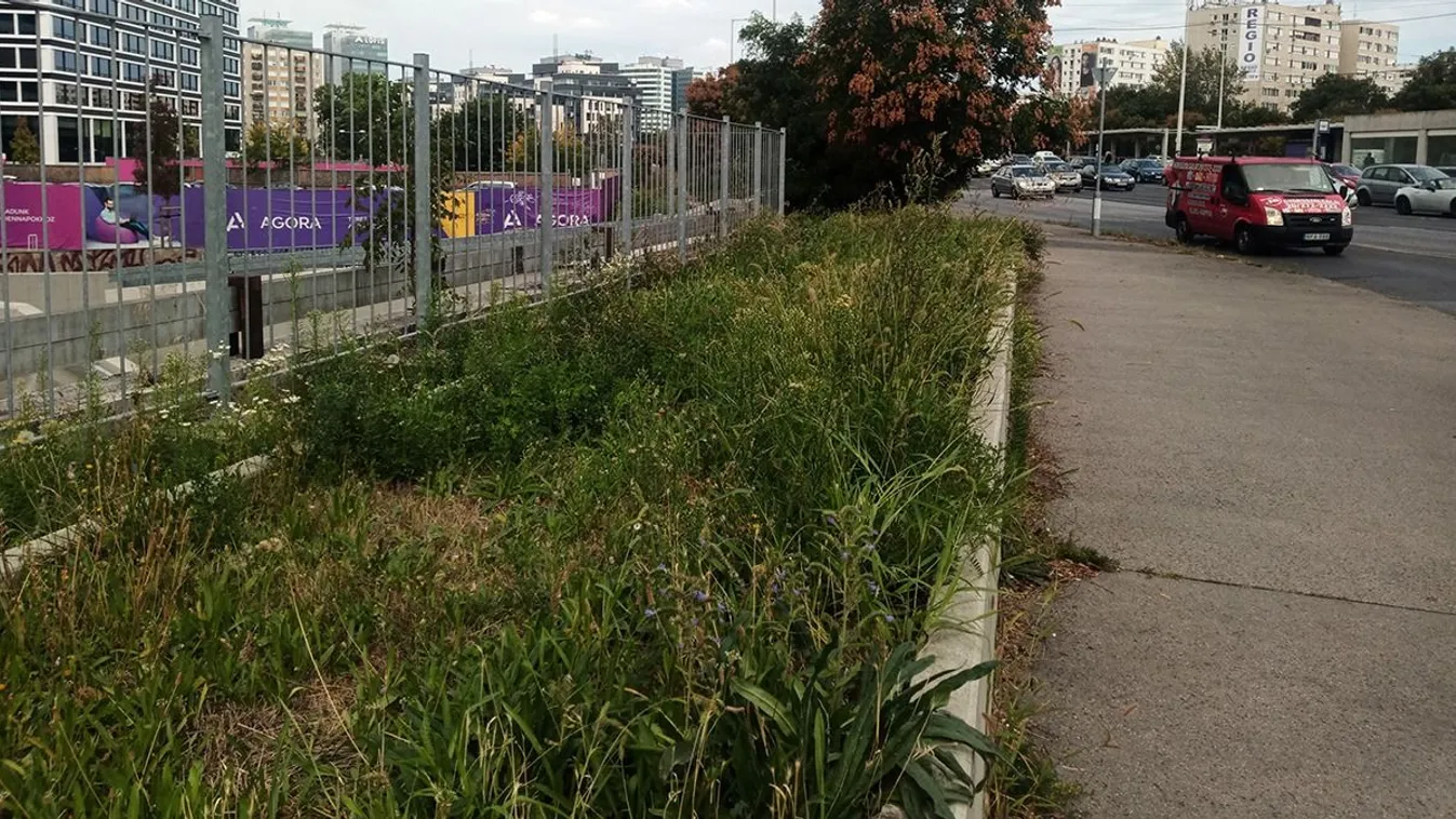 Budapesti gyomtérkép: Téged melyik helyszín zavar legjobban?