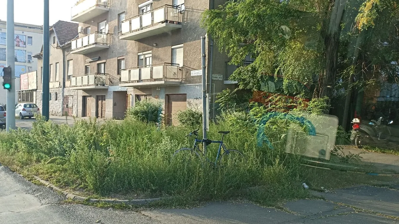 A gyomtengerek hosszútávú hatásairól beszélt a kertész