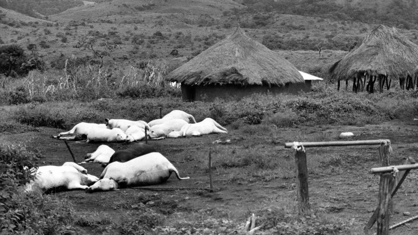 A terror éjszakája: egy este alatt az egész falu kihalt